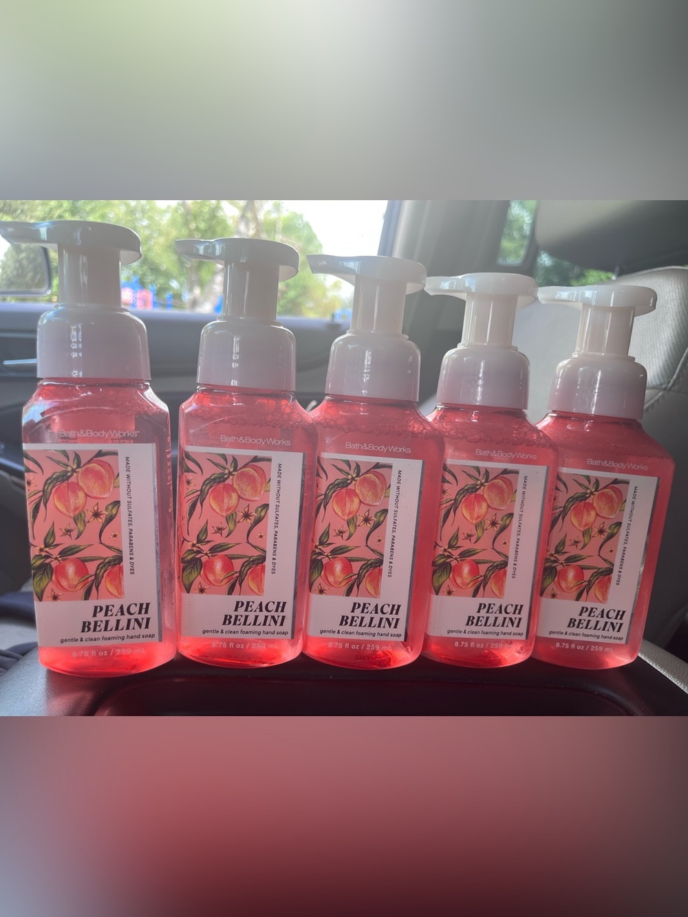 BBW PEACH BELLINI Foaming Hand Soap Bundle x5